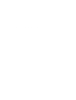Salient Energetics Logo